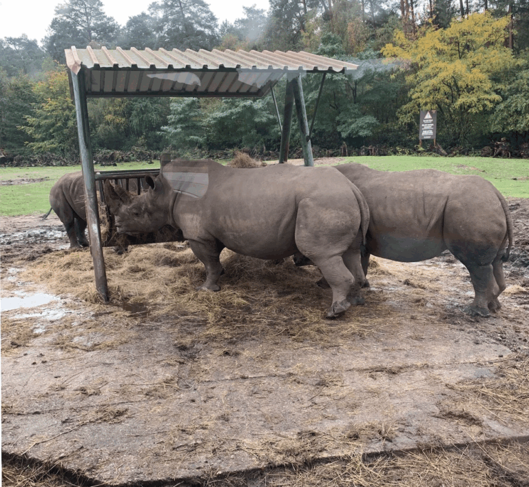 Freizeitgruppenbesuch im Hannoveraner Zoo
