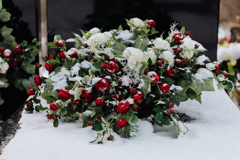 Snow-dusted red roses and green leaves on a winter tombstone.